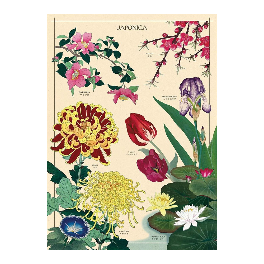 Cavallini Vintage Poster Algae