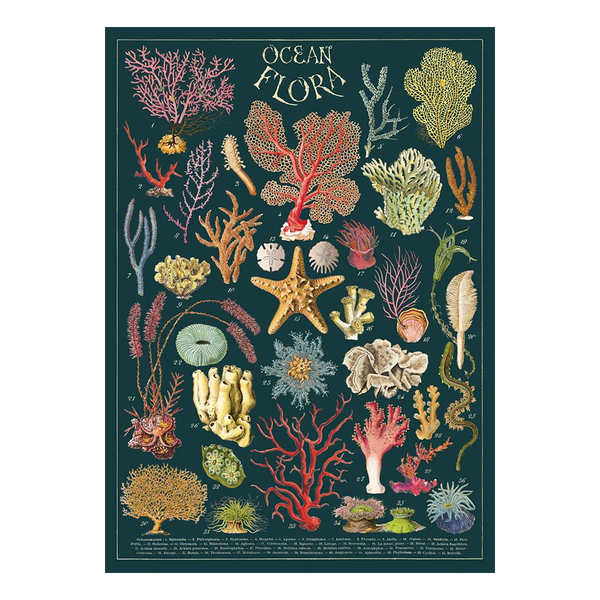 Cavallini Vintage Poster Ocean Flora