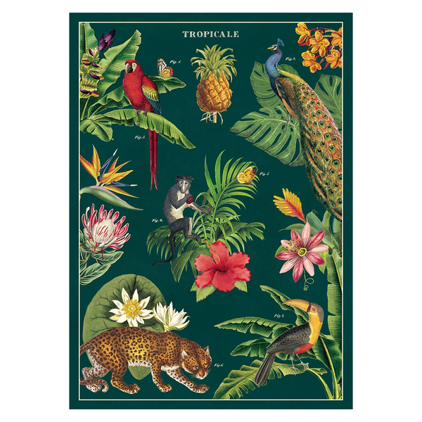 Cavallini Vintage Poster Tropicale