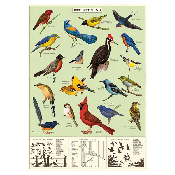 Cavallini Vintage Poster Bird Watching