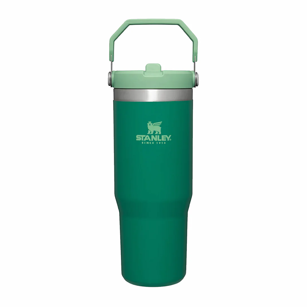 Stanley IceFlow Flip Straw Tumbler 30oz Alpine