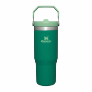 Stanley IceFlow Flip Straw Tumbler 30oz Alpine