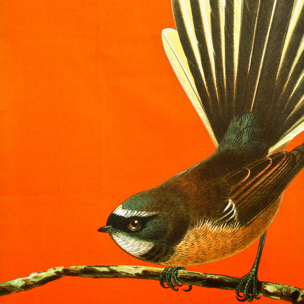 Bird Tea Towel Fantail Orange
