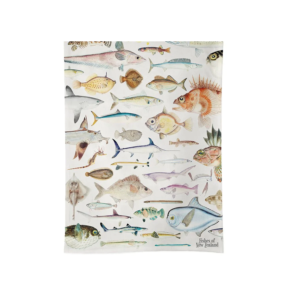100% NZ Tea Towel Fishes of NZ