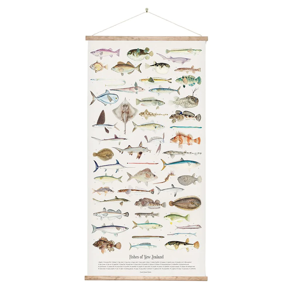 New Zealand Retro Fishes of NZ Wall Chart