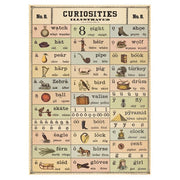 Cavallini Vintage Poster Curiosities