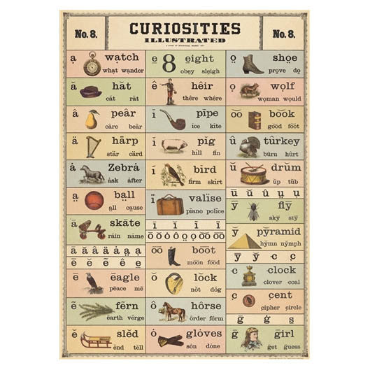 Cavallini Vintage Poster Curiosities