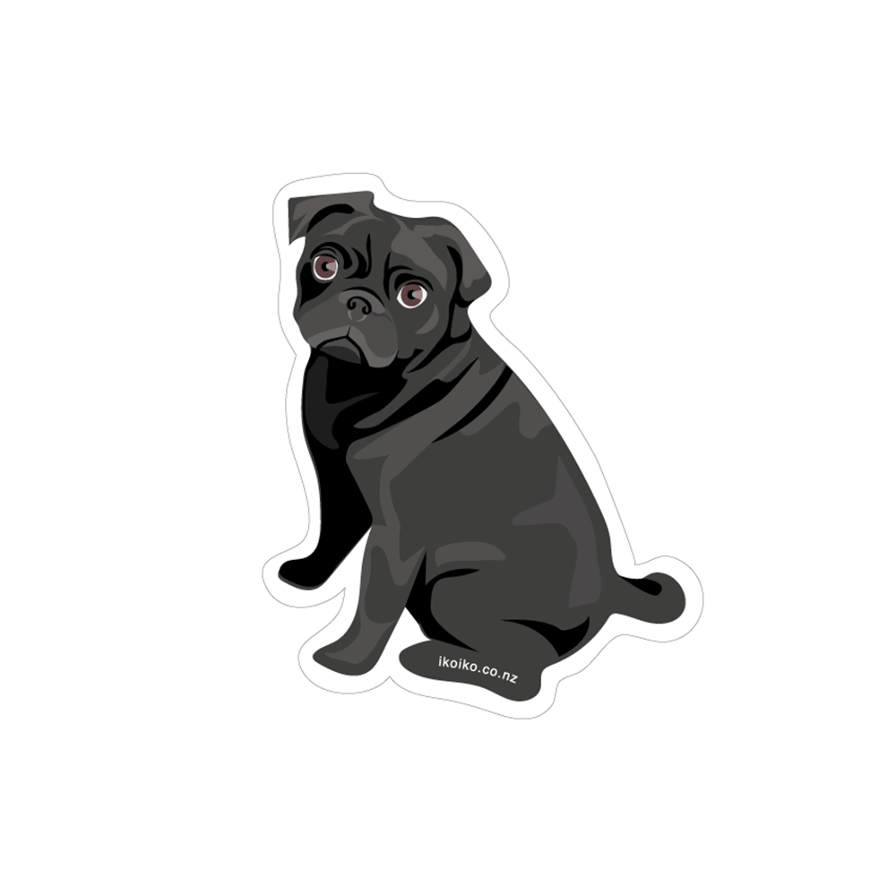 Buy hot sale black pug