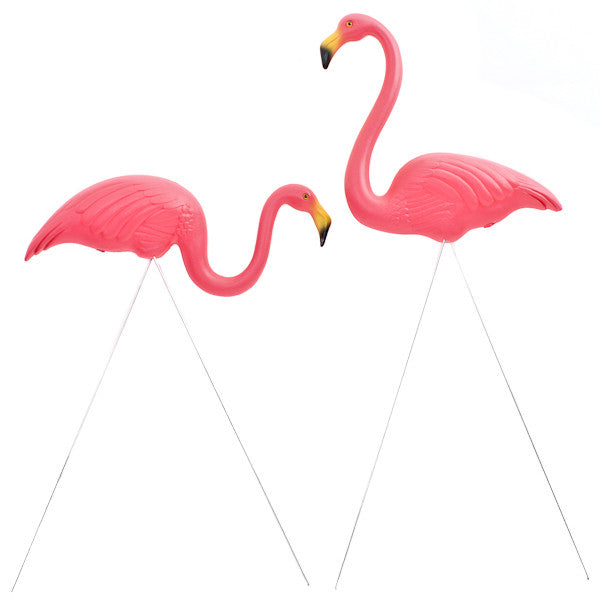 The Original Featherstone Pink Flamingos
