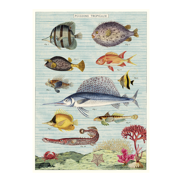 Cavallini Vintage Poster Tropical Fish