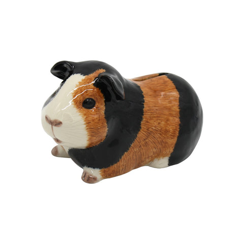 Quail Guinea Pig Money Box Multi
