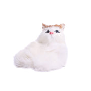 Soft Sitting Cat