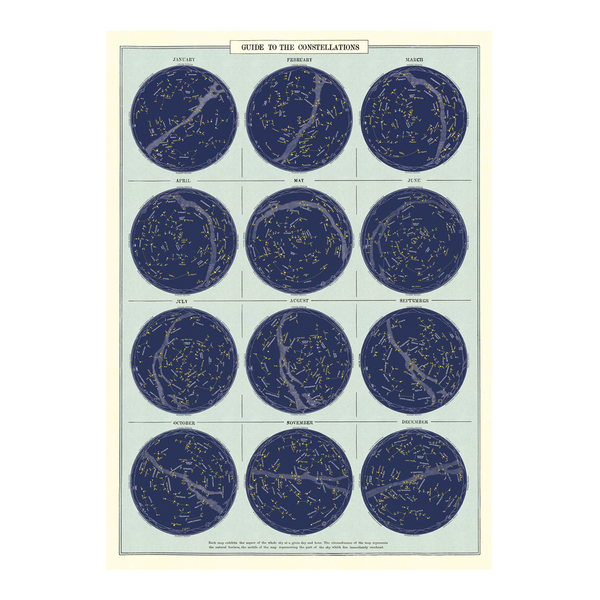 Cavallini Vintage Poster Guide to Constellations