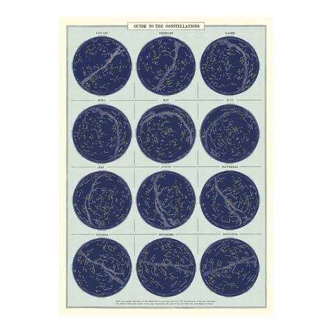 Cavallini Vintage Poster Guide to Constellations