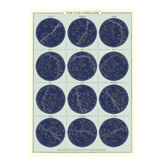 Cavallini Vintage Poster Guide to Constellations