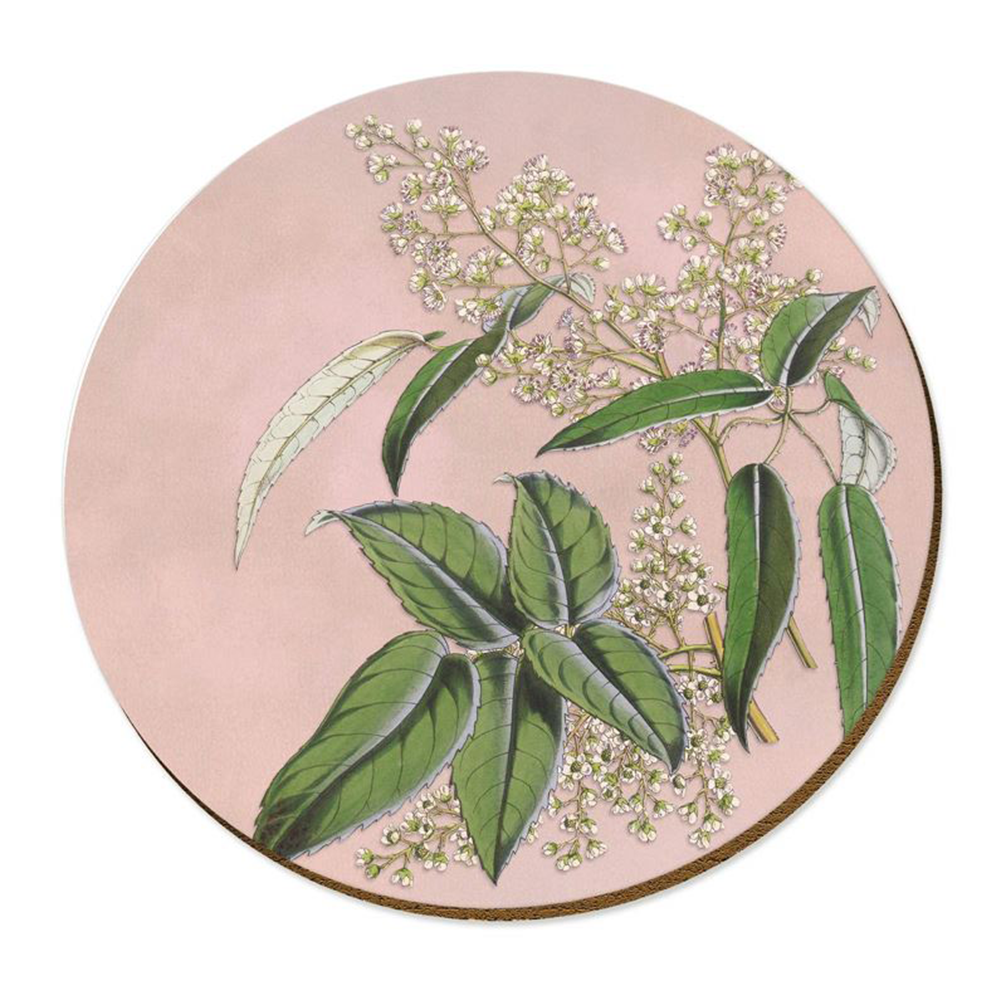 Swamp Lawyer Tataramoa Placemat