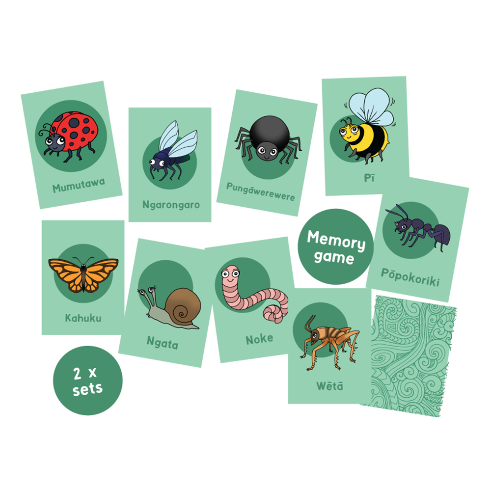 Ngā Ngārara O Aotearoa Insects Memory Game