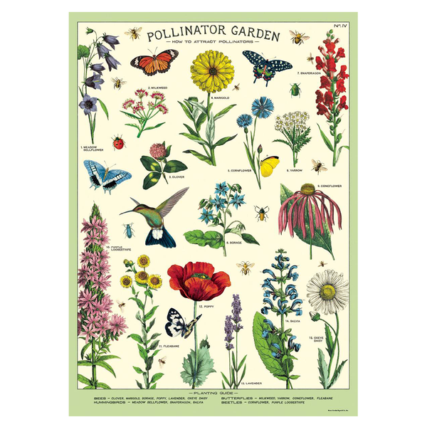 Cavallini Vintage Poster Pollinator Garden