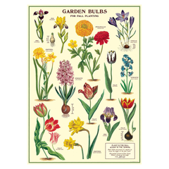 Cavallini Vintage Poster Garden Bulbs