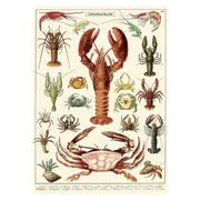Cavallini Vintage Poster Crustaceans