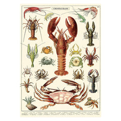 Cavallini Vintage Poster Crustaceans