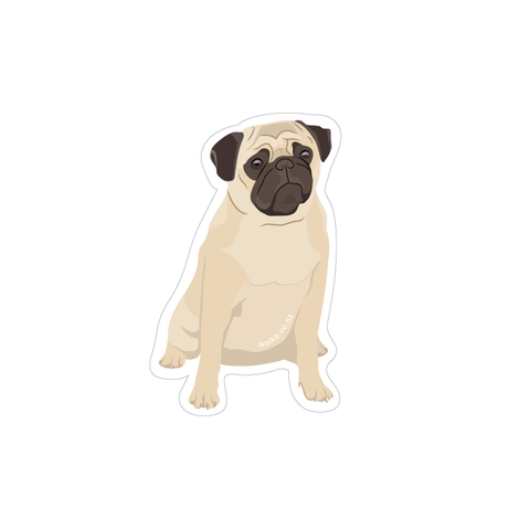 Iko Iko Fun Size Sticker Pug Cream