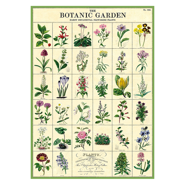 Poster Vintage Consiglio Tropical Botanica II orizzontale 4:3 su