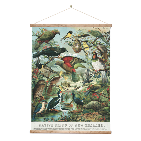 New Zealand Retro Wall Chart Native Birds of NZ