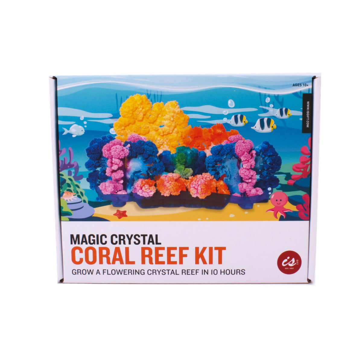 Magic Crystal Coral Reef Kit