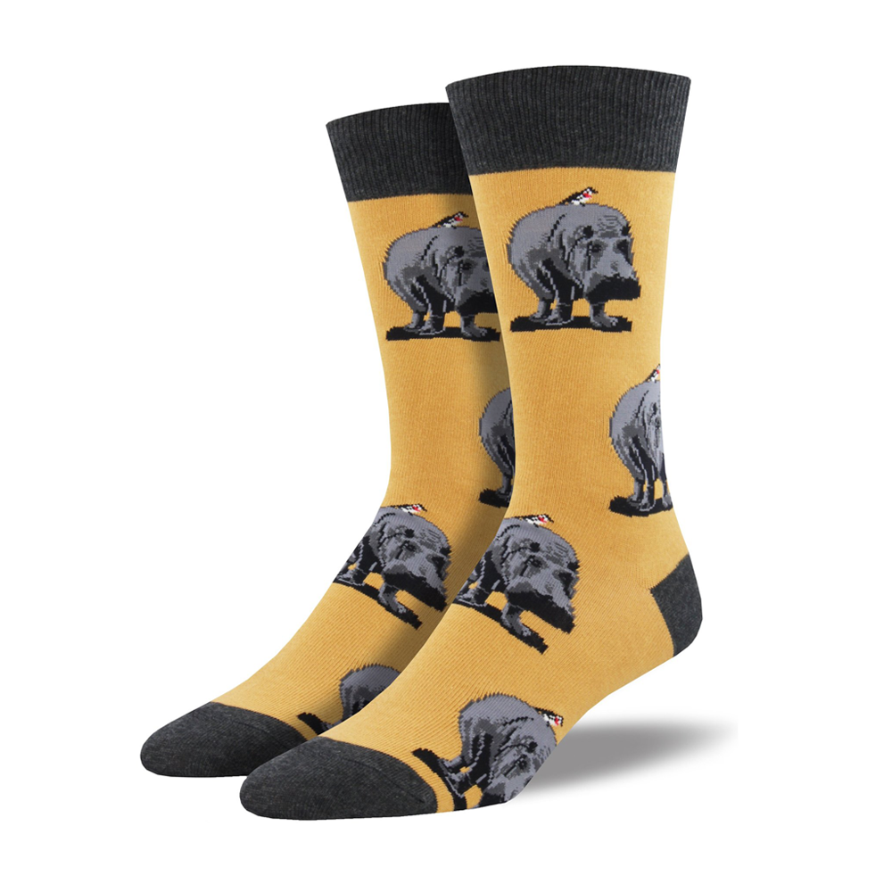 Socksmith Men's Socks Hip Hipporay