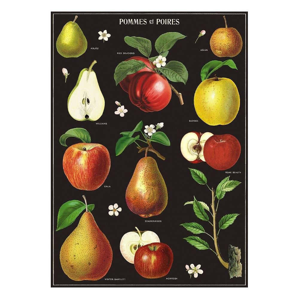 Cavallini Vintage Poster Apples and Pears