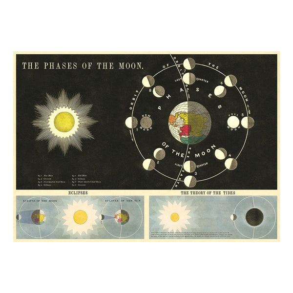 Cavallini Vintage Poster Phases of the Moon
