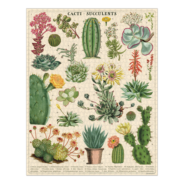 Cavallini 1000 Piece Puzzle Cacti and Succulents