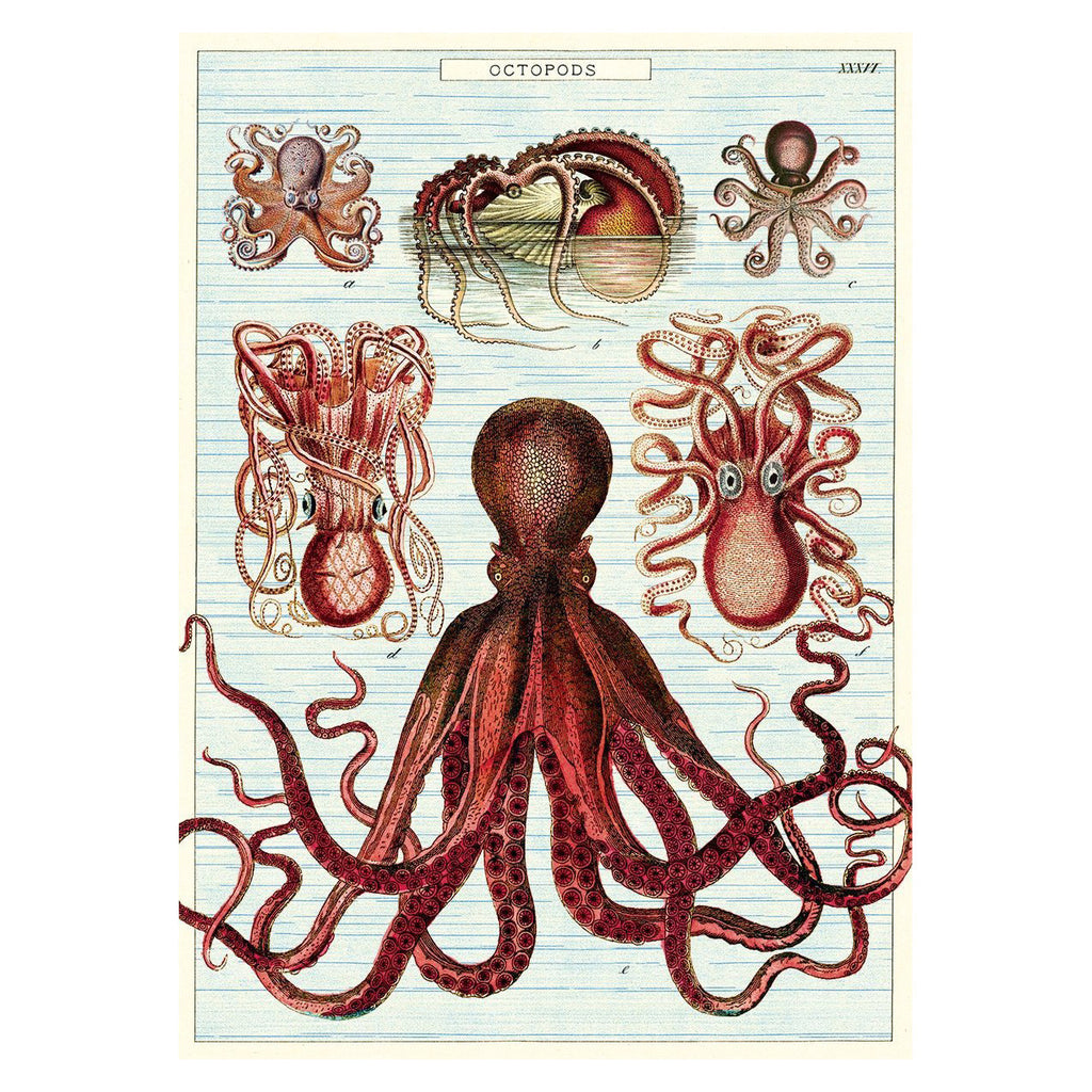 Cavallini Vintage Poster Octopods