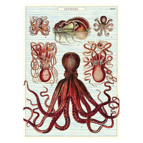 Cavallini Vintage Poster Octopods