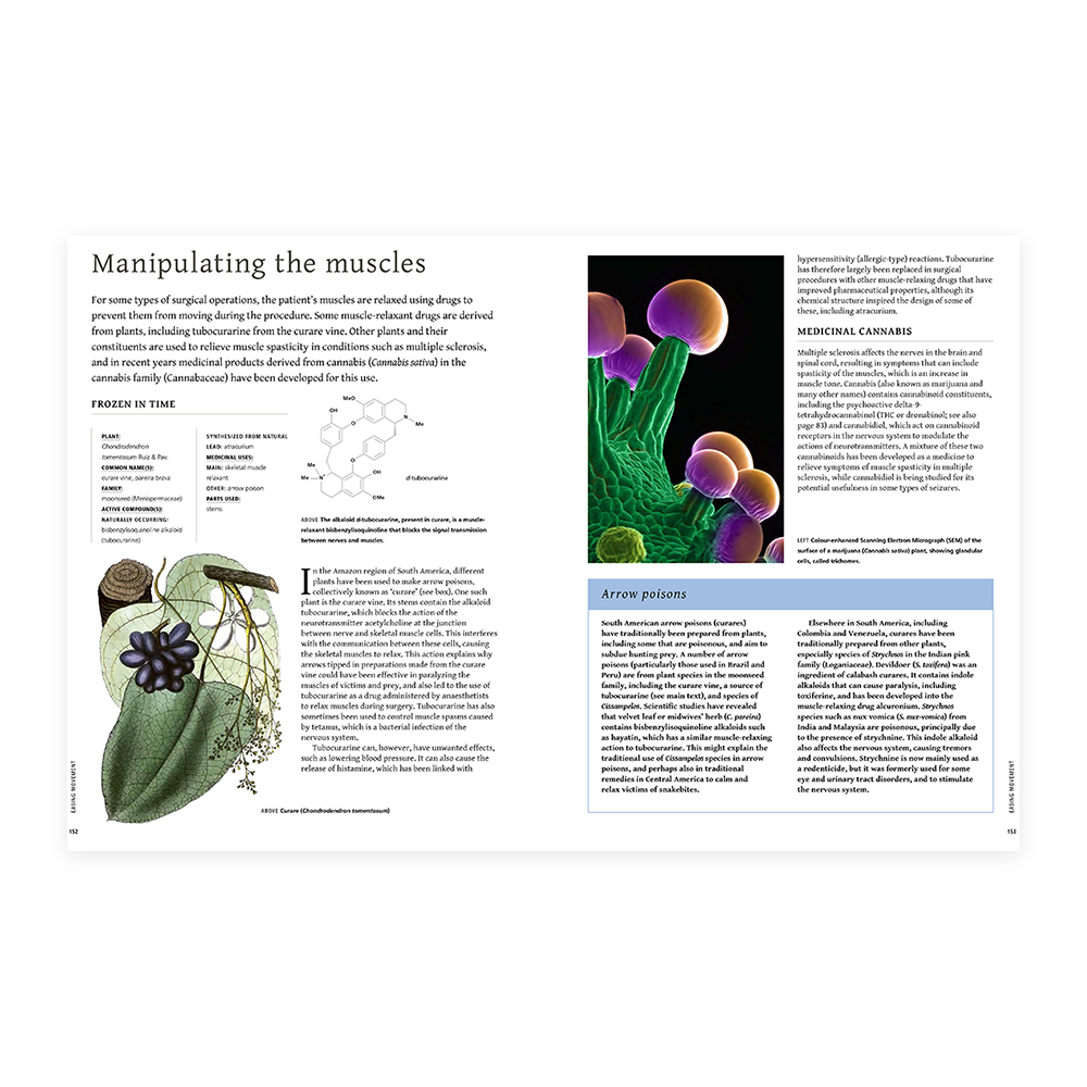 Plants That Cure A Natural History of The Worlds Most Important Medicinal Plants