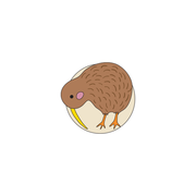 Moana Road Enamel Pin Kiwi