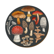 Wolfkamp & Stone Placemat NZ Fungi  Morchella