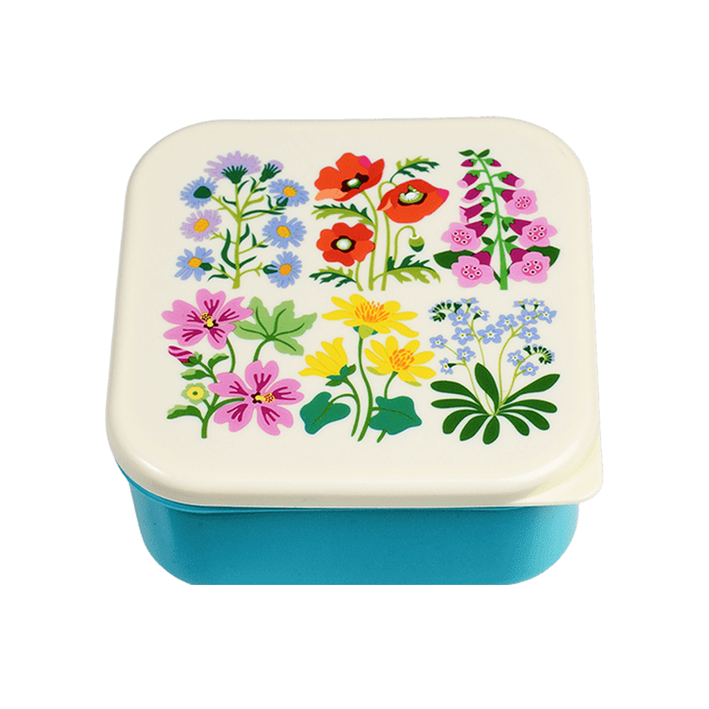 Rex Snack Box Wild Flowers