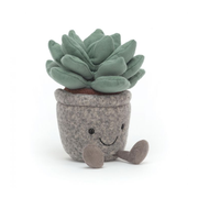 Jellycat Silly Succulent Azulita